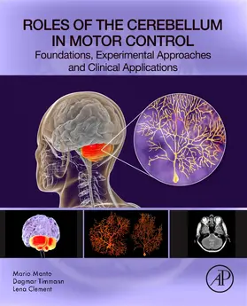 Manto / Timmann / Clement |  Roles of the Cerebellum in Motor Control | Buch |  Sack Fachmedien