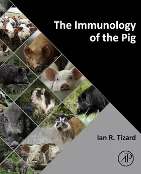 Tizard |  The Immunology of the Pig | Buch |  Sack Fachmedien