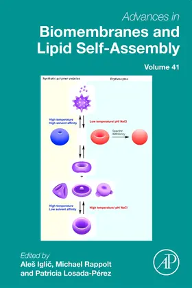  Advances in Biomembranes and Lipid Self-Assembly | Buch |  Sack Fachmedien