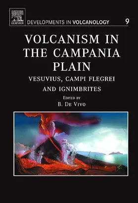  Volcanism in the Campania Plain | Buch |  Sack Fachmedien
