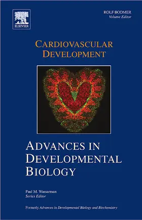  Cardiovascular Development | Buch |  Sack Fachmedien