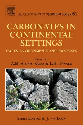  Carbonates in Continental Settings | Buch |  Sack Fachmedien