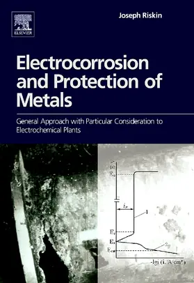 Riskin |  Electrocorrosion and Protection of Metals | Buch |  Sack Fachmedien