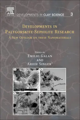 Developments in Palygorskite-Sepiolite Research | Buch | 978-0-444-53607-5 | sack.de