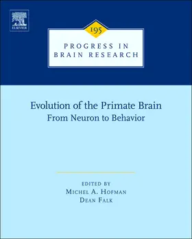  Evolution of the Primate Brain | Buch |  Sack Fachmedien
