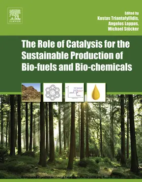 Triantafyllidis / Lappas / Stöcker |  The Role of Catalysis for the Sustainable Production of Bio-fuels and Bio-chemicals | eBook | Sack Fachmedien