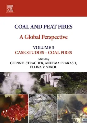 Stracher / Prakash / Sokol |  Coal and Peat Fires: A Global Perspective | eBook | Sack Fachmedien