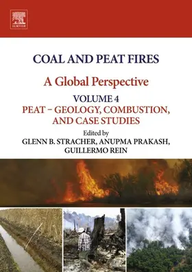 Stracher / Prakash / Rein |  Coal and Peat Fires: A Global Perspective | eBook | Sack Fachmedien