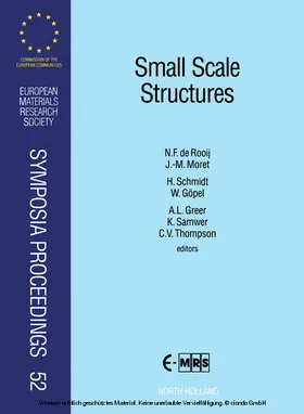 de Rooij / Moret / Schmidt |  Small Scale Structures | eBook | Sack Fachmedien