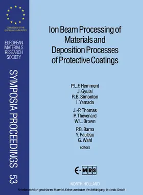 Hemment / Wahl / Pauleau |  Ion Beam Processing of Materials and Deposition Processes of Protective Coatings | eBook | Sack Fachmedien