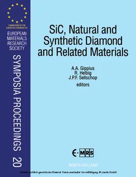 Gippius / Helbig / Sellschop |  SiC, Natural and Synthetic Diamond and Related Materials | eBook | Sack Fachmedien