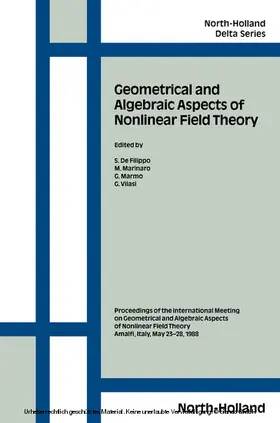 de Filippo / Marinaro / Marmo |  Geometrical and Algebraic Aspects of Nonlinear Field Theory | eBook | Sack Fachmedien