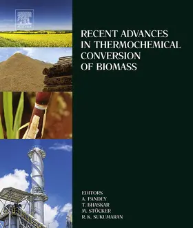 Pandey / Bhaskar / St”cker | Recent Advances in Thermochemical Conversion of Biomass | E-Book | sack.de
