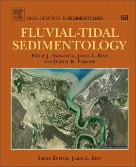  Fluvial-Tidal Sedimentology | eBook | Sack Fachmedien