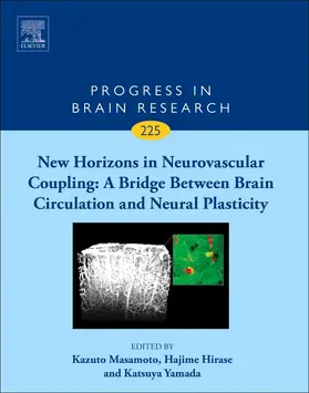 New Horizons in Neurovascular Coupling: A Bridge Between Brain Circulation and Neural Plasticity | Buch | 978-0-444-63704-8 | sack.de