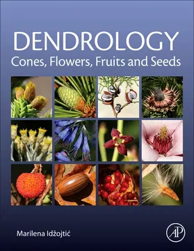 Idzojtic |  Dendrology: Cones, Flowers, Fruits and Seeds | Buch |  Sack Fachmedien