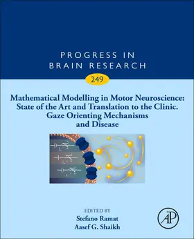 Leigh / Ramat / Shaikh |  Mathematical Modelling in Motor Neuroscience: State of the Art and Translation to the Clinic, Gaze Orienting Mechanisms and Disease | Buch |  Sack Fachmedien