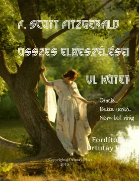 Fitzgerald |  F. Scott Fitzgerald összes elbeszélései - VI. kötet | eBook | Sack Fachmedien
