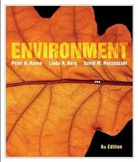 Raven / Berg / Hassenzahl |  Environment | Buch |  Sack Fachmedien