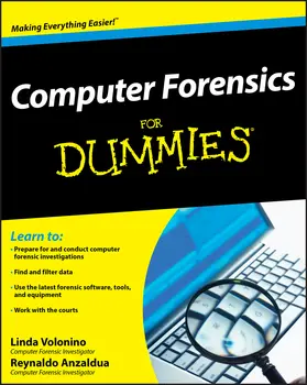 Pollard / Anzaldua |  Computer Forensics For Dummies | Buch |  Sack Fachmedien