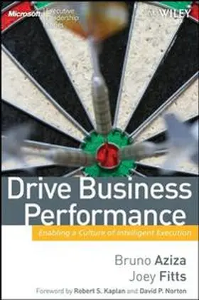 Aziza / Fitts |  Drive Business Performance | eBook | Sack Fachmedien