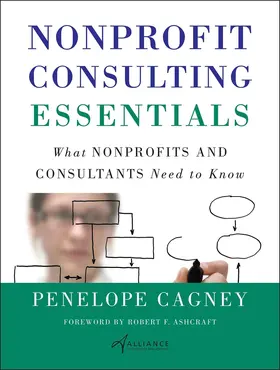 Cagney |  Nonprofit Consulting Essentials | Buch |  Sack Fachmedien