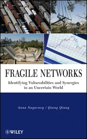 Nagurney / Qiang |  Fragile Networks | Buch |  Sack Fachmedien