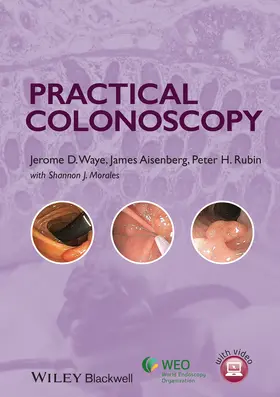 Waye / Aisenberg / Rubin |  Practical Colonoscopy | Buch |  Sack Fachmedien