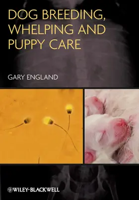 England |  Dog Breeding, Whelping and Puppy Care | Buch |  Sack Fachmedien