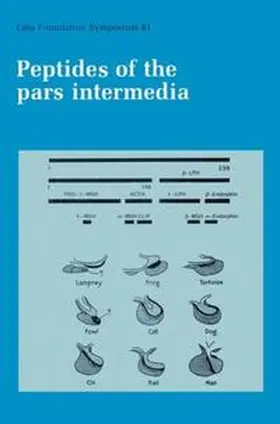 Evered / Lawrenson |  Peptides of the Pars Intermedia | eBook | Sack Fachmedien
