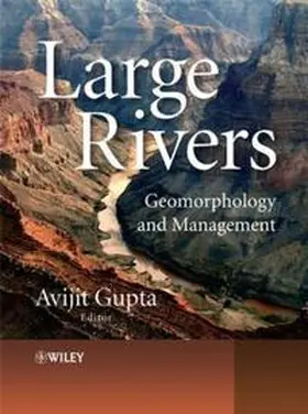Gupta |  Large Rivers | eBook | Sack Fachmedien