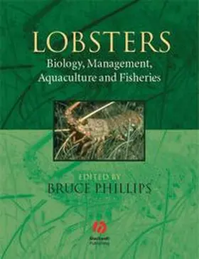 Phillips |  Lobsters | eBook | Sack Fachmedien