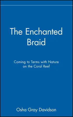 Davidson |  The Enchanted Braid | Buch |  Sack Fachmedien