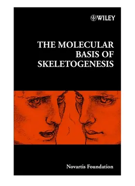 Cardew / Goode |  The Molecular Basis of Skeletogenesis | Buch |  Sack Fachmedien