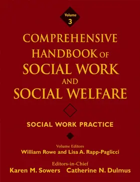  Social Work Practice | Buch |  Sack Fachmedien