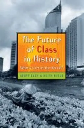 Eley |  The Future of Class in History | Buch |  Sack Fachmedien