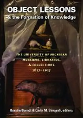Barndt / Sinopoli |  Object Lessons and the Formation of Knowledge | Buch |  Sack Fachmedien