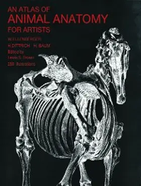 Ellenberger / Davis |  Atlas of Animal Anatomy for Artists | eBook | Sack Fachmedien