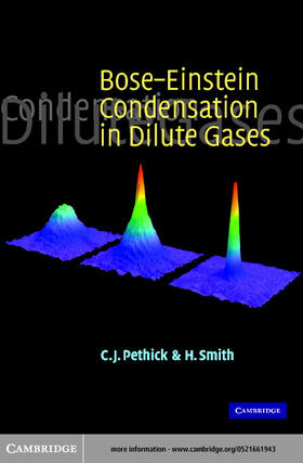 Pethick |  Bose-Einstein Condensation in Dilute Gases | eBook | Sack Fachmedien