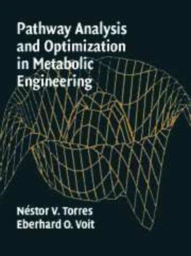 Torres | Pathway Analysis and Optimization in Metabolic Engineering | E-Book | www2.sack.de