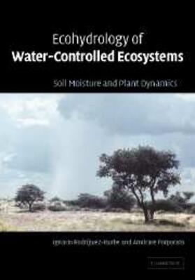 Rodriguez-Iturbe |  Ecohydrology of Water-Controlled Ecosystems | eBook | Sack Fachmedien