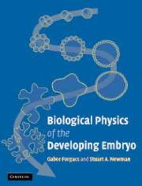 Forgacs |  Biological Physics of the Developing Embryo | eBook | Sack Fachmedien