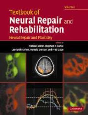 Selzer |  Textbook of Neural Repair and Rehabilitation: Volume 1, Neural Repair and Plasticity | eBook | Sack Fachmedien