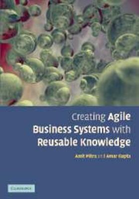 Mitra |  Creating Agile Business Systems with Reusable Knowledge | eBook | Sack Fachmedien