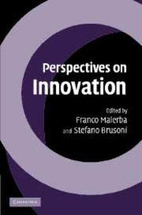 Malerba |  Perspectives on Innovation | eBook | Sack Fachmedien