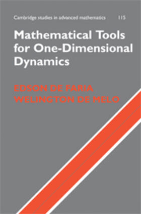 Faria |  Mathematical Tools for One-Dimensional Dynamics | eBook | Sack Fachmedien