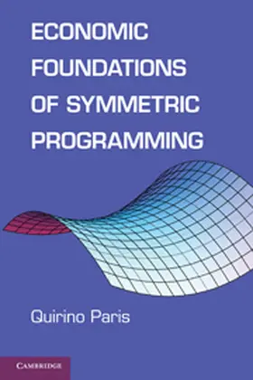 Paris |  Economic Foundations of Symmetric Programming | eBook | Sack Fachmedien