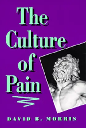 Morris |  The Culture of Pain (Paper) | Buch |  Sack Fachmedien