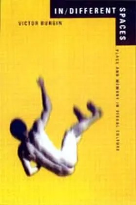 Burgin |  In/Different Spaces | Buch |  Sack Fachmedien