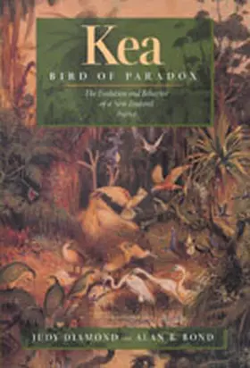 Diamond / Bond |  Kea, Bird of Paradox - The Evolution & Behavior of a New Zealand Parrot | Buch |  Sack Fachmedien